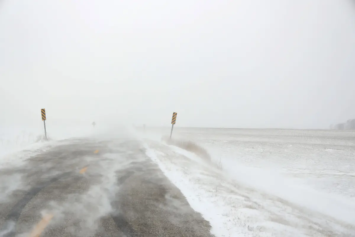 1af50f19036e056ec65e474e956c8b18