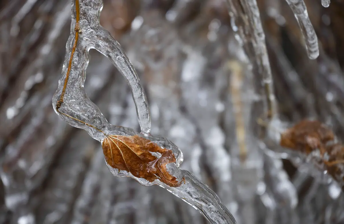 8a3a2f2caac0d5567d5ba8a6582bfa78