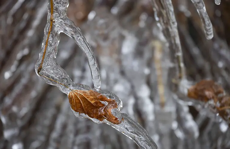 8a3a2f2caac0d5567d5ba8a6582bfa78