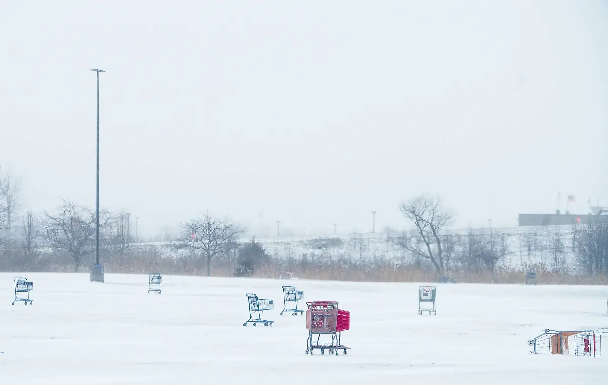 f49418826305cde58982b7873f938cf8