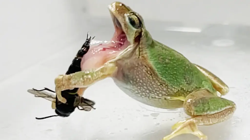 ACHTUNG-Frei-nur-im-Zusammenhang-mit-der-Berichterstattung-ueber-die-Studie