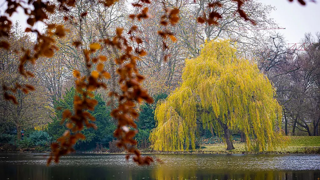 Baeume-mit-herbstlich-verfaerbten-Blaettern-stehen-bei-truebem-Winterwetter-an-einem-Teich