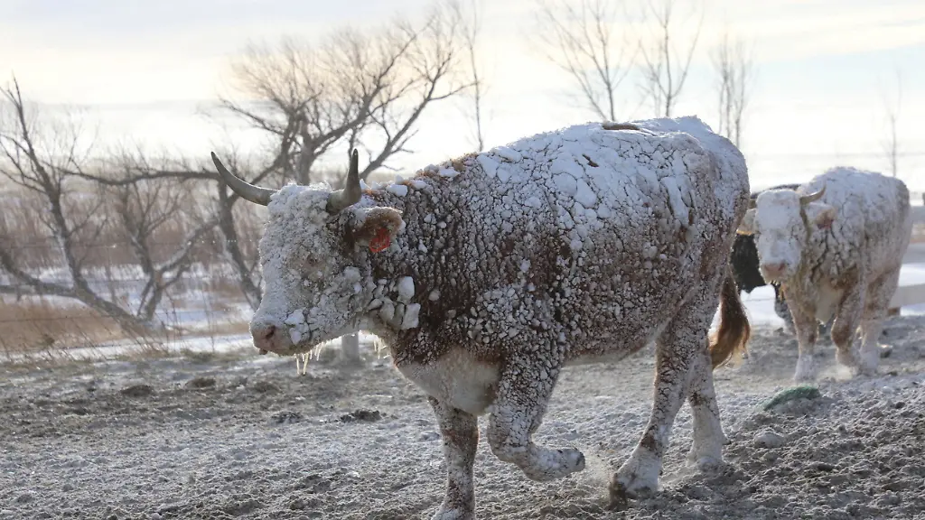 2022-12-21T155548Z-1871684988-RC237Y91O9UX-RTRMADP-3-USA-WEATHER