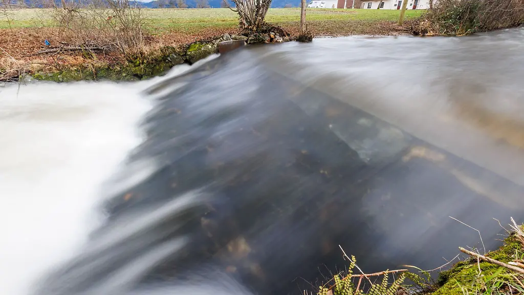 Der-Fluss-Brugga-fliesst-nahe-dem-Kirchzartener-Ortsteil-Neuhaeuser-ueber-eine-Krebssperre