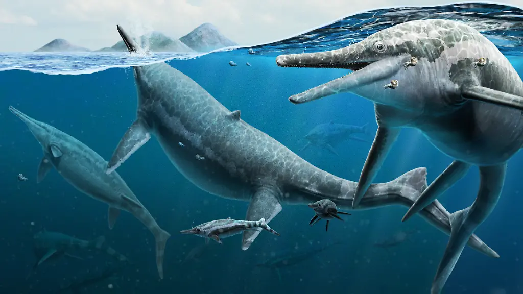 ACHTUNG-Frei-nur-im-Zusammenhang-mit-der-Berichterstattung-ueber-die-Studie