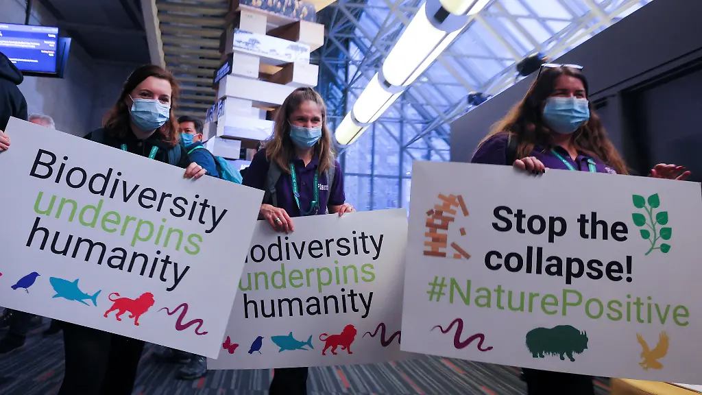 752ea78e01f5cf934a35ddc8fcfc12c7