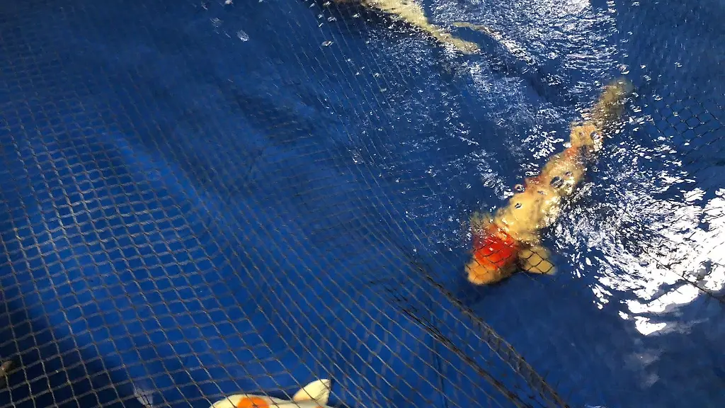 661e1bbb1c2d3ed378a8b506ad1ece6a