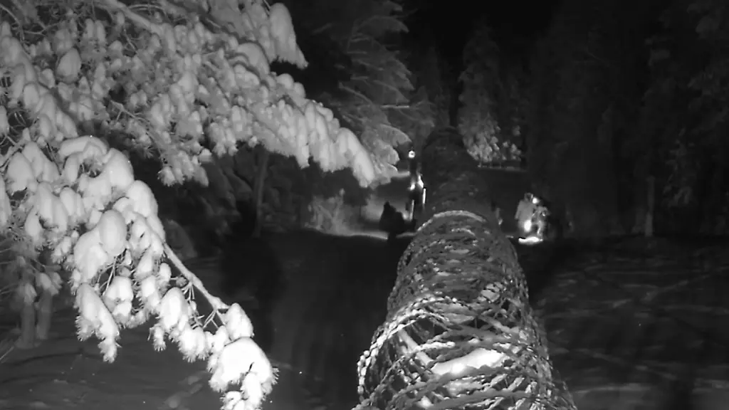 Screenshot-Grenze-Belarus