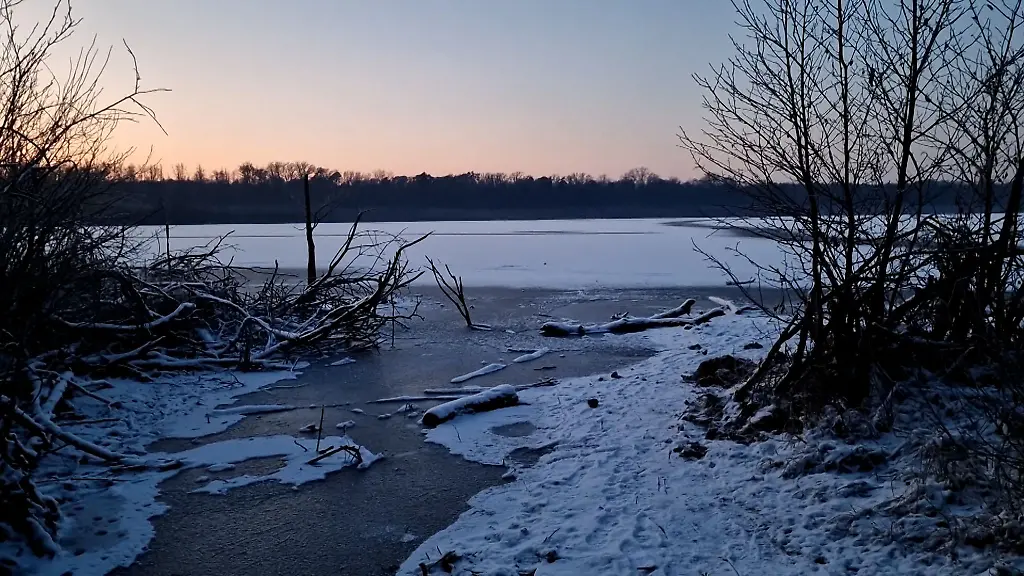 Eine-duenne-Eisschicht-bedeckt-einen-See
