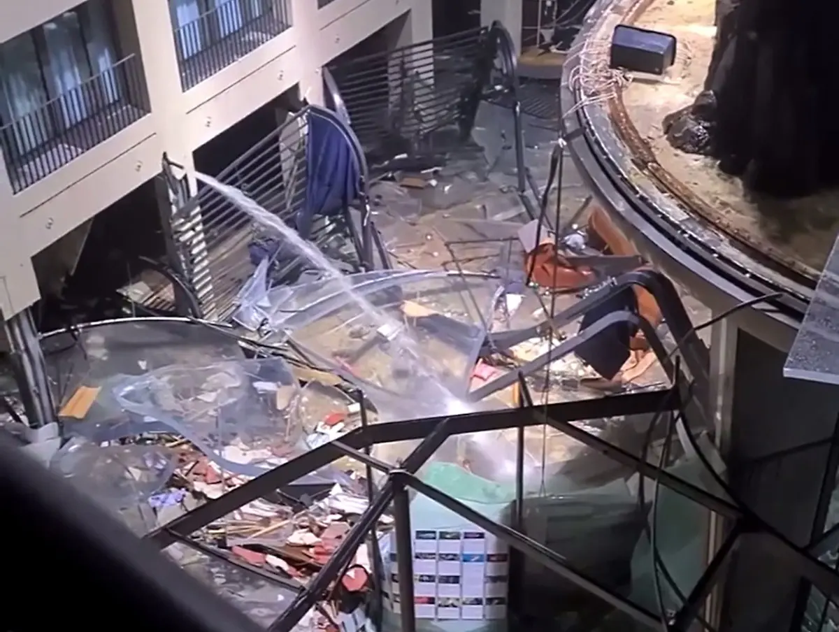 cec4242d9fcdc4bd022acf6a5032e021