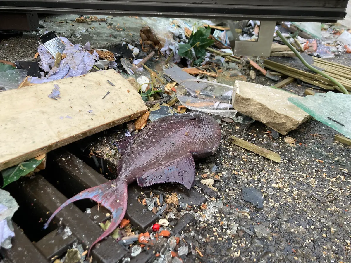 8a394e6c9d12d1694a22f61567ba66b1