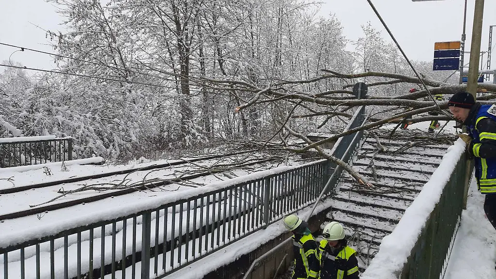 Ein-umgestuerzter-Baum-an-der-S-Bahnhaltestelle-St-Koloman-in-Woerth