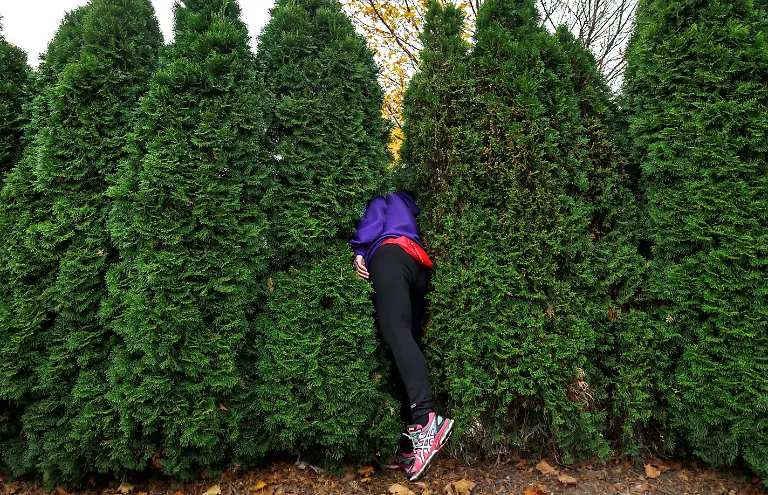 2022-11-05T000000Z-1794925500-RC2KFX94O3LN-RTRMADP-3-USA-ELECTION-MICHIGAN-ABORTION