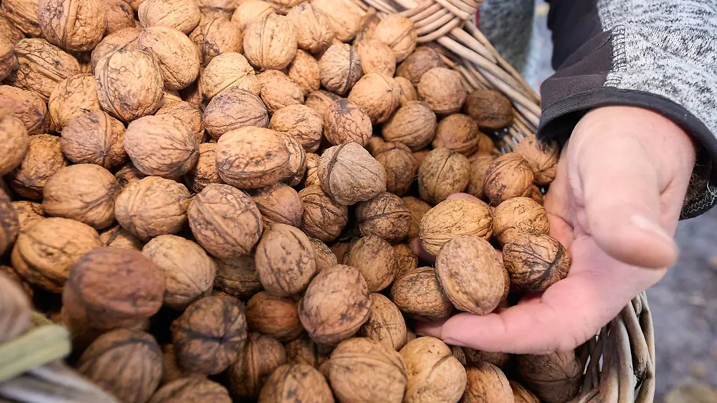 Ein-Obstbauer-nach-der-Walnussernte