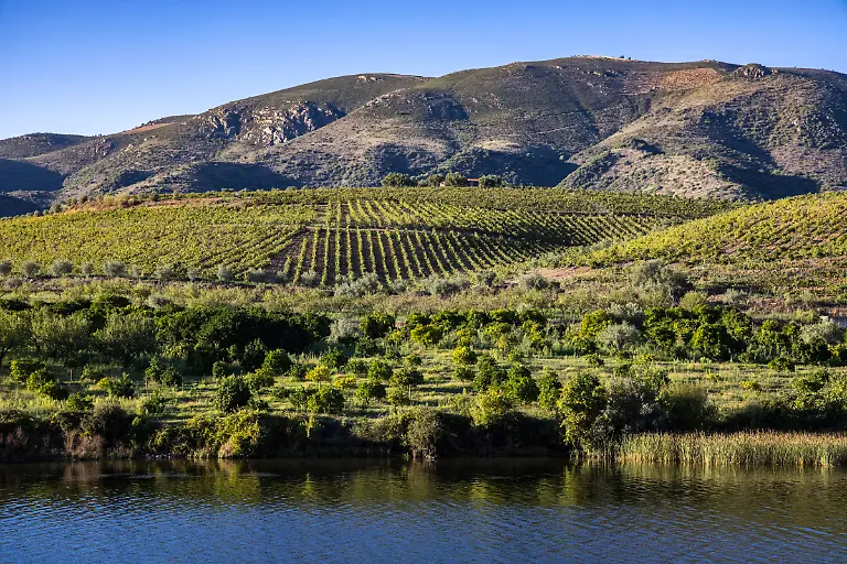 Bild-31-von-40-2021-09-18-082