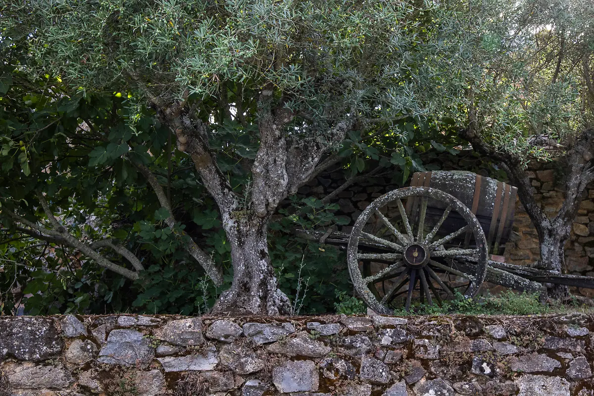 Bild-21-von-40-2021-09-17-054