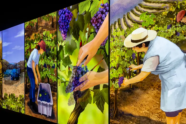 Bild-09-von-40-AD-2022-11-16-002