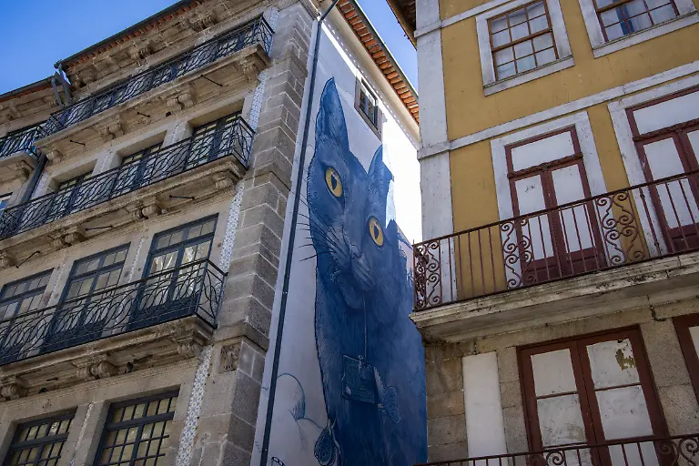 Bild-04-von-40-2021-09-20-053