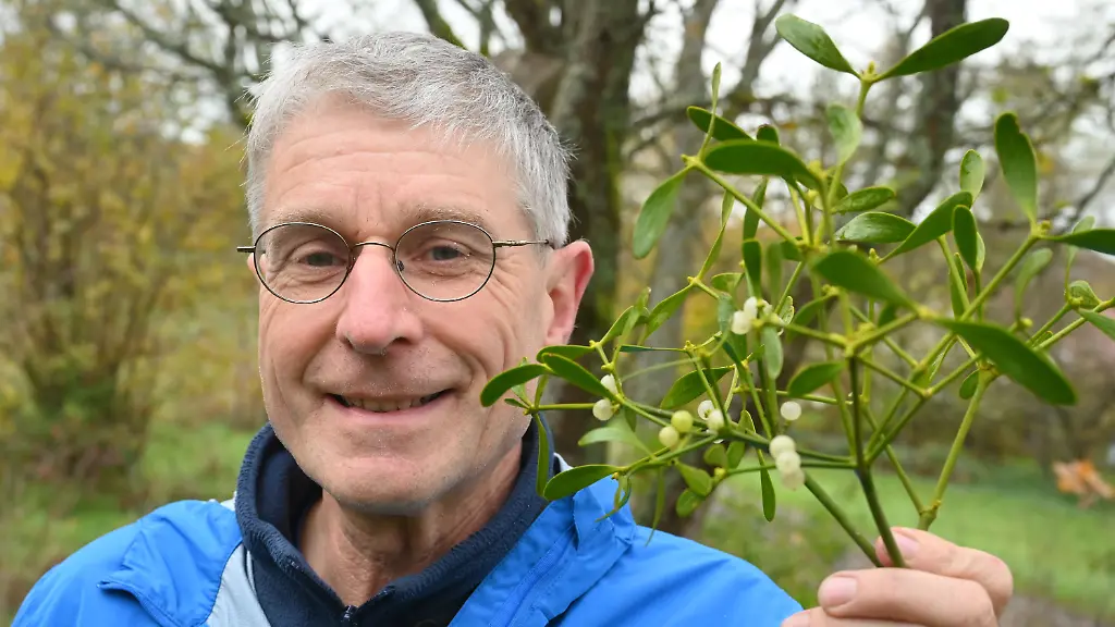 1a816e59f52f5b8237e70da667c14744