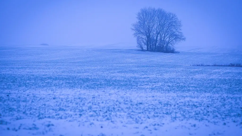 Ein-Acker-bei-Klein-Welzin-ist-mit-Schnee-bedeckt