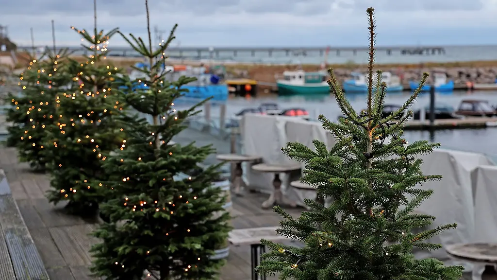 Abgedeckte-Strandkoerbe-warten-auf-Gaeste-die-Terrasse-ist-mit-Weihnachtsbaeumen-dekoriert
