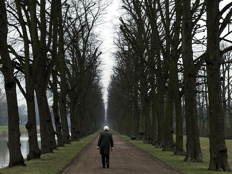 Zu den Herrenhäuser Gärten gehört auch die Herrenhäuser Allee, die 1726 angelegt wurde. Sie ist fast zwei Kilometer lang und besteht aus vier Reihen Linden
