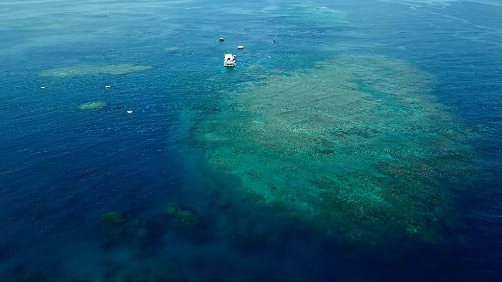 04a447fd420e23acf7d6bb4ea2123bd8