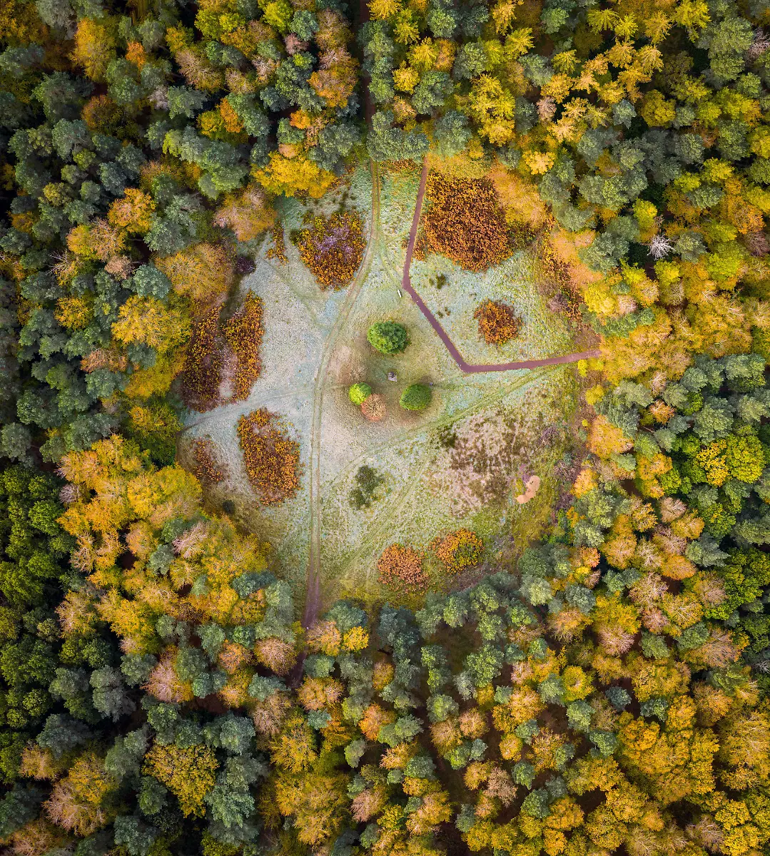 Clearing-In-Binning-Memorial-Woods-Andrew-Smith