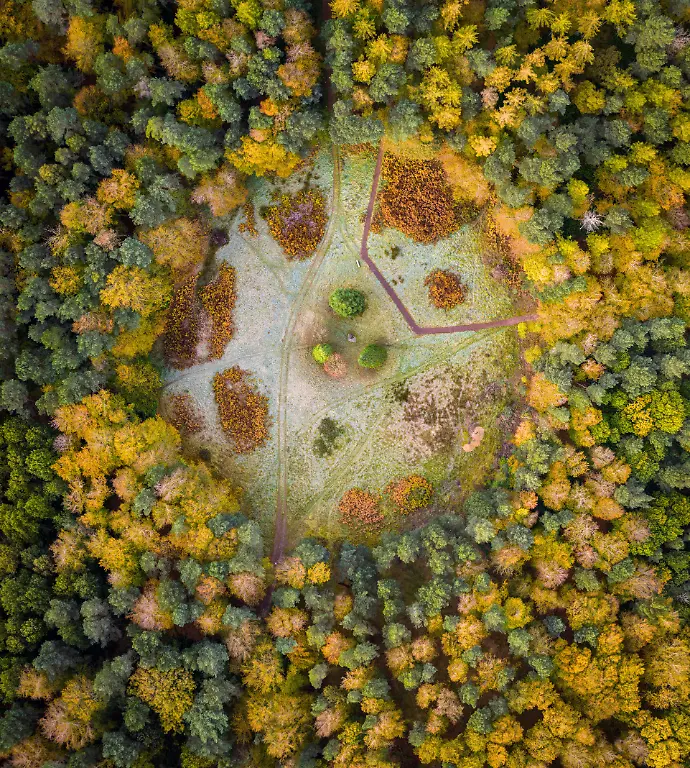 Clearing-In-Binning-Memorial-Woods-Andrew-Smith