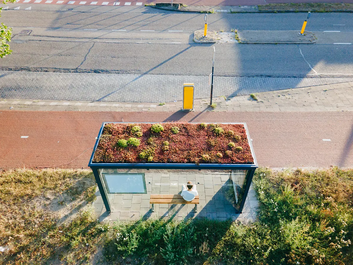 Bee-Friendly-Busstop-Shamira-van-Veenendaal