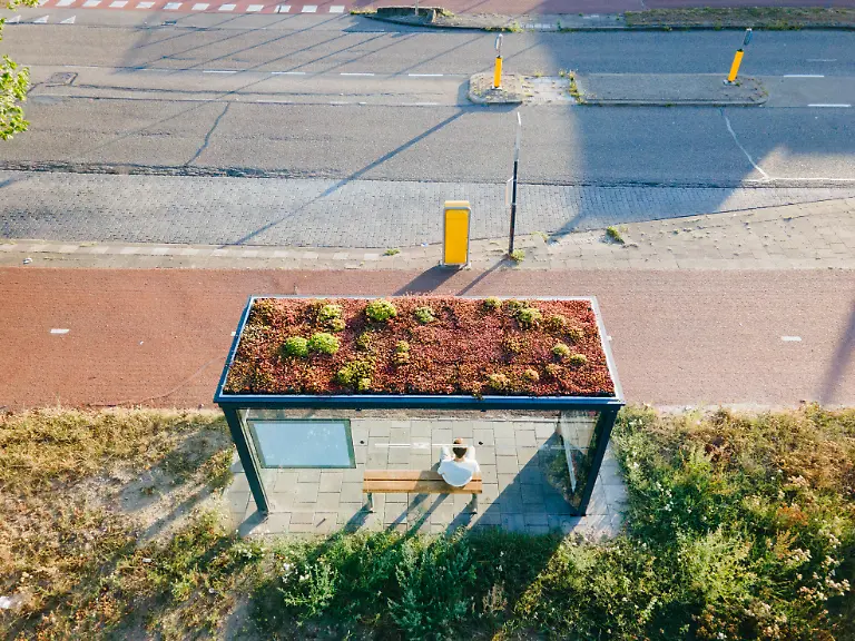 Bee-Friendly-Busstop-Shamira-van-Veenendaal