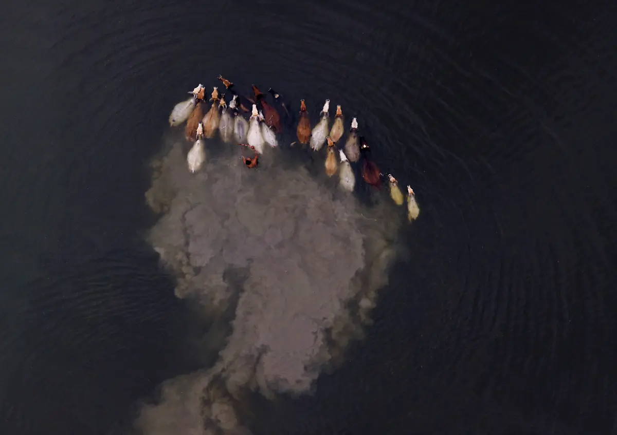 The-Climate-Change-Effect-Solayman-Hosain