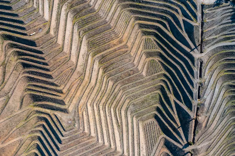 Pyramids-Against-Drought-Roberto-Bueno-scaled