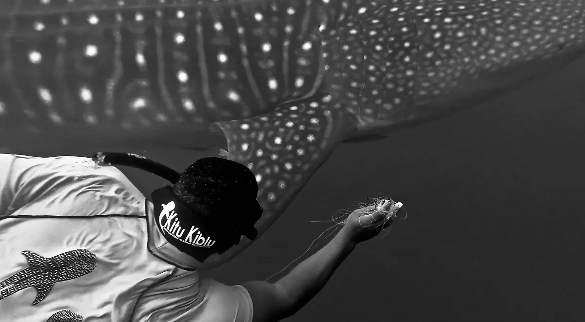 Papa-Potwe1-Danielle-Stanley