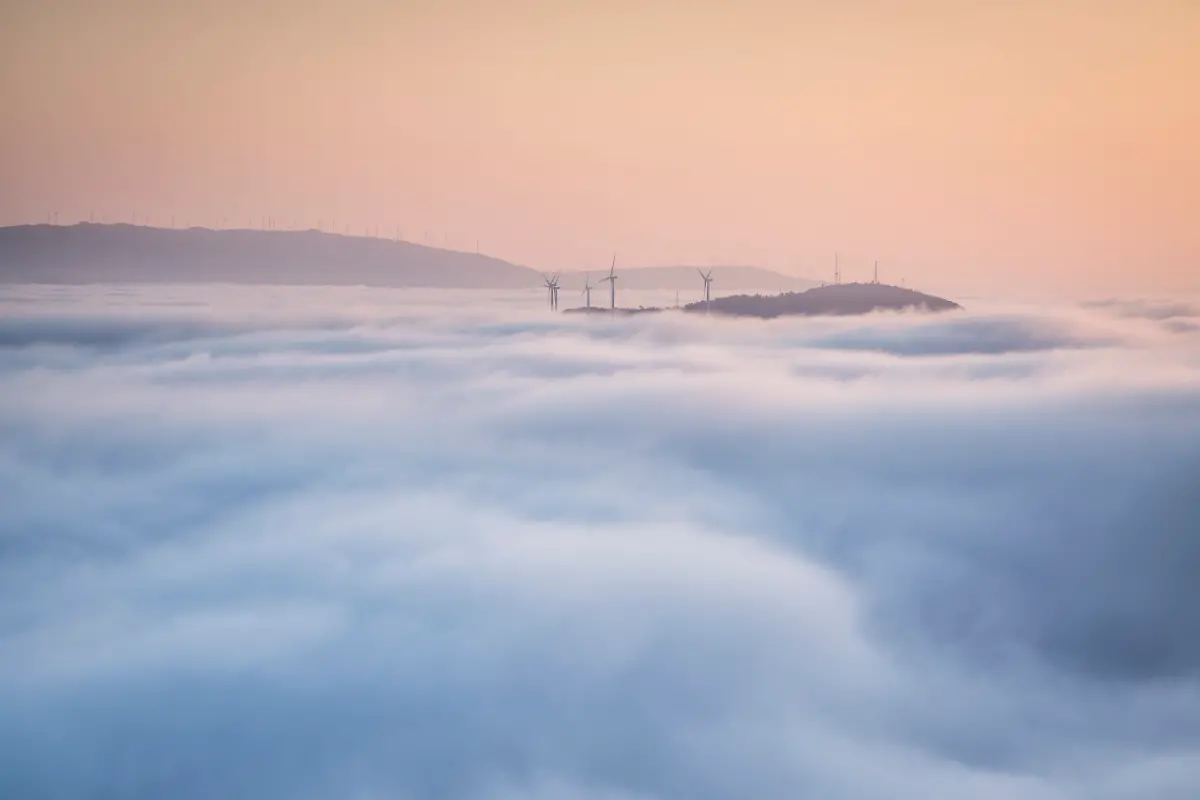 Light-Pedro-Esteves-scaled