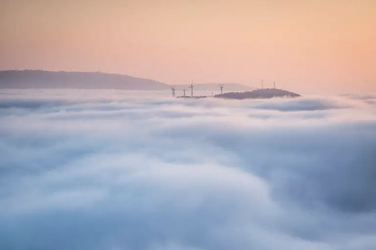 Light-Pedro-Esteves-scaled