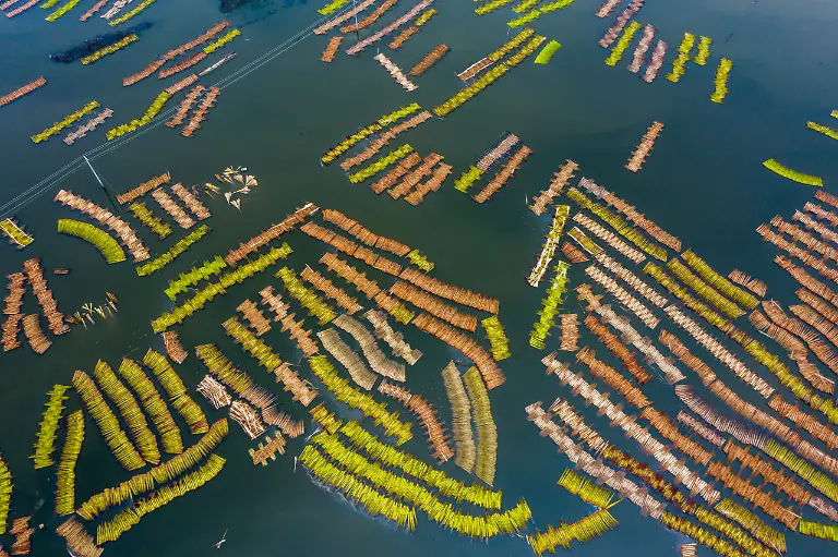 Ecofriendly-Jute-Processing-Ahsanul-Haque-Nayem-scaled