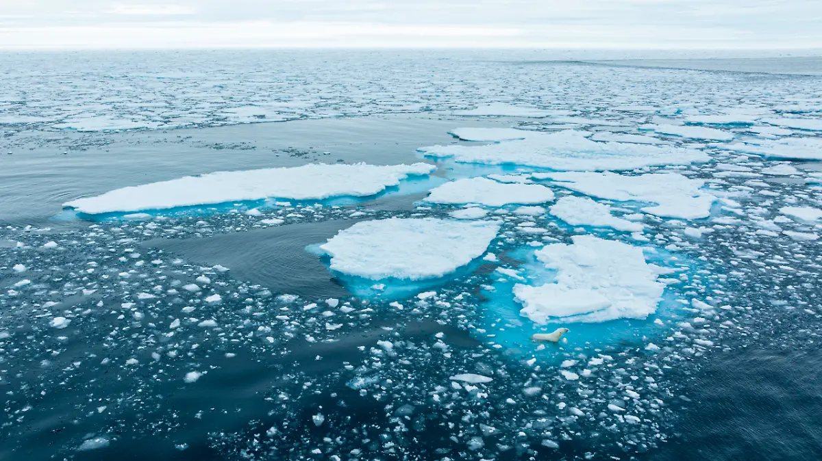 Dissapearing-Comfort-Jonas-Beyer-scaled