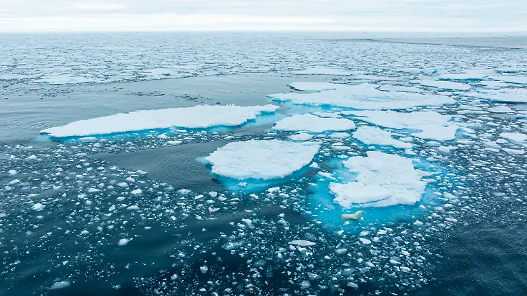 Dissapearing-Comfort-Jonas-Beyer-scaled