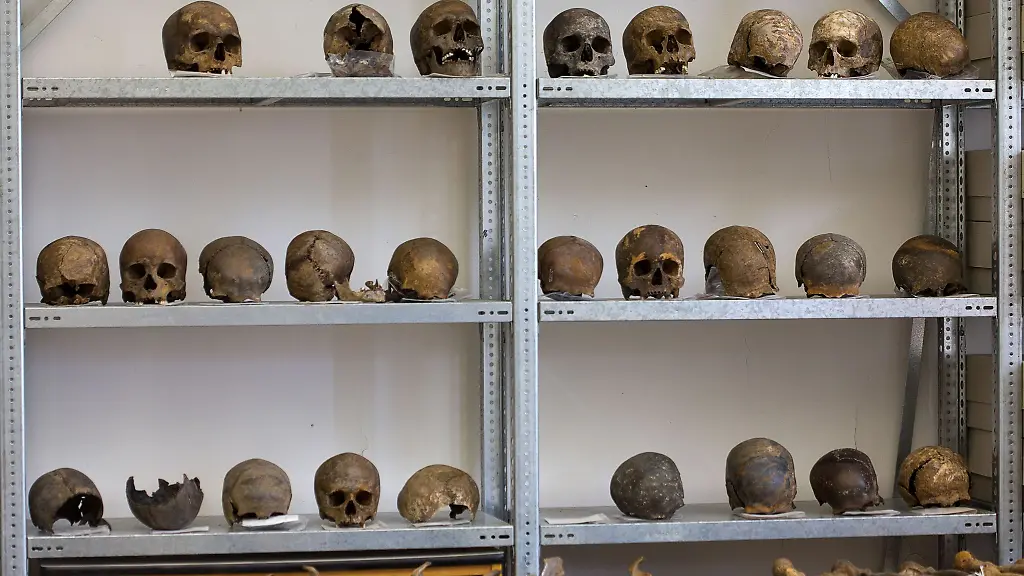 Bei-der-Ausgrabung-eines-bronzezeitlichen-Schlachtfeldes-im-Tollensetal-gefundene-Schaedel