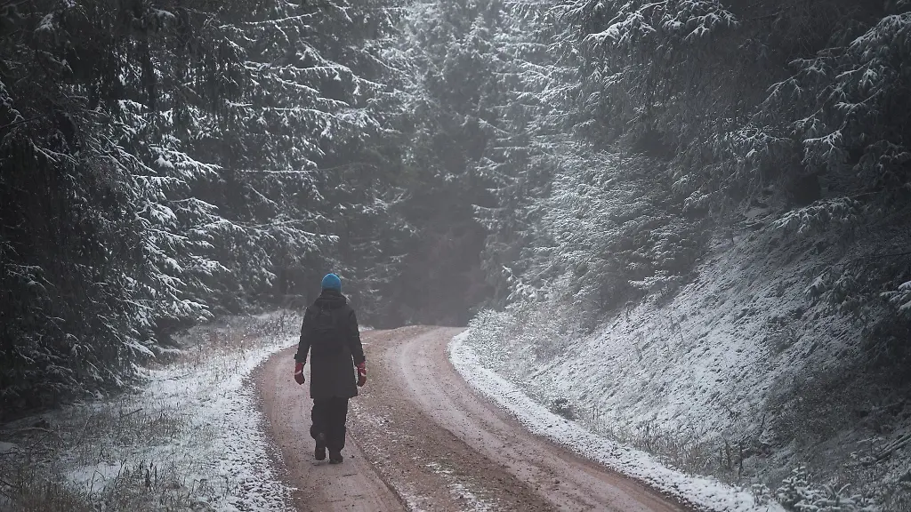 Eine-Person-geht-im-winterlichen-Wald-auf-dem-Werra-Burgen-Steig-spazieren