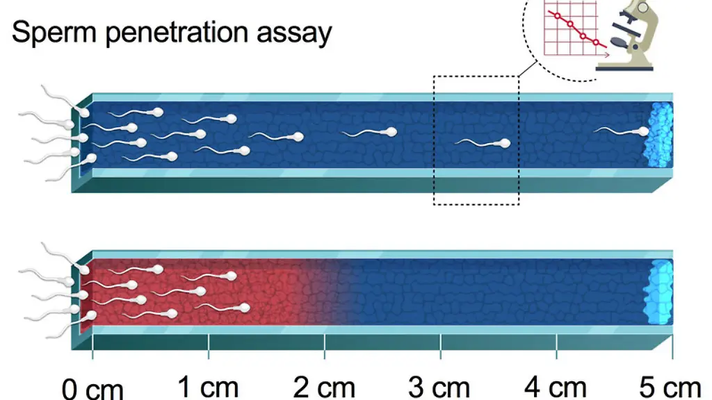 ACHTUNG-Frei-nur-im-Zusammenhang-mit-der-Berichterstattung-ueber-die-Studie
