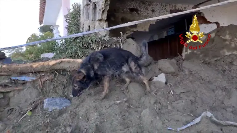 02afaab6e2a09c428ec7fe97b4af9902