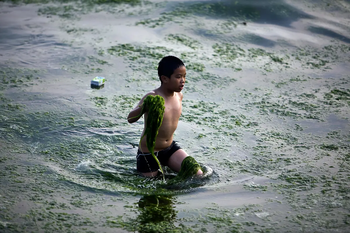 2008-07-06T120000Z-555705336-GM1E4761IUR01-RTRMADP-3-OLYMPICS-ALGAE