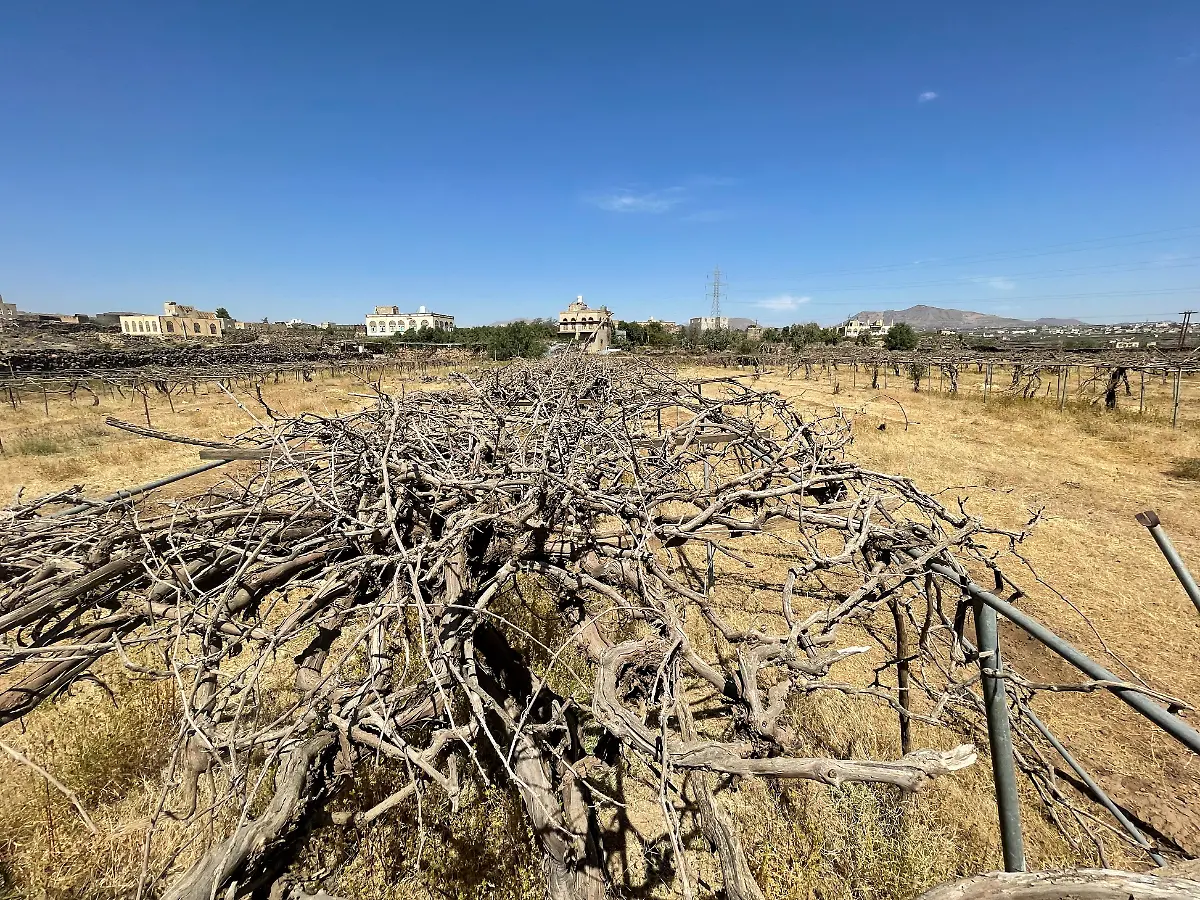 2022-11-10T111739Z-680001174-RC2V4X91F0F2-RTRMADP-3-CLIMATE-YEMEN