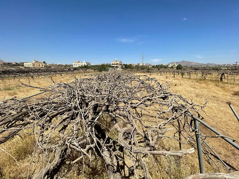 2022-11-10T111739Z-680001174-RC2V4X91F0F2-RTRMADP-3-CLIMATE-YEMEN