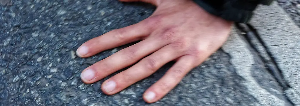 Bild zum Thema "Letzte Generation"