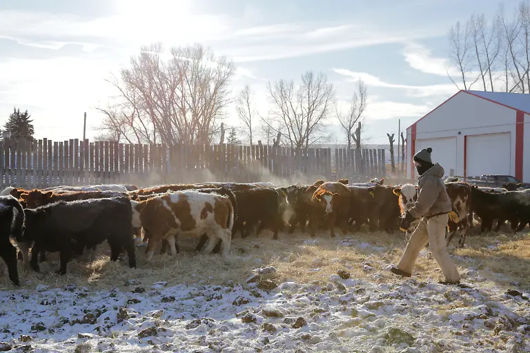 2022-01-05T170327Z-1435032515-RC2FSR9L4MT9-RTRMADP-3-CANADA-WEATHER