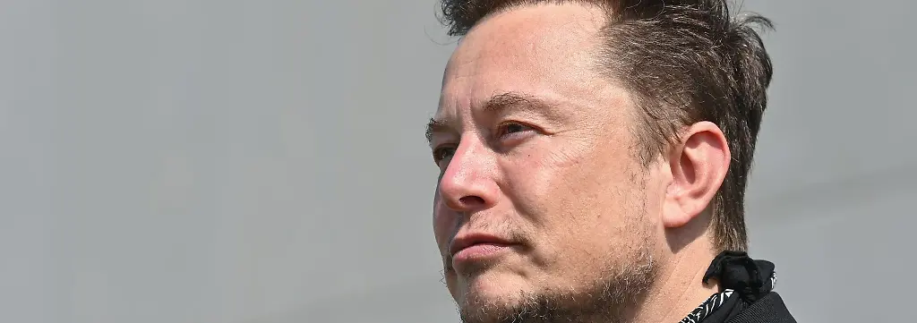 Bild zum Thema Elon Musk