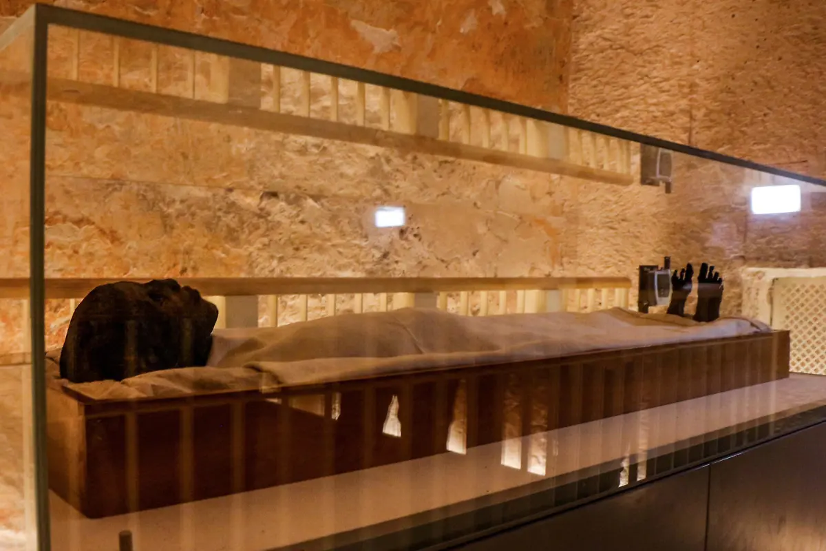 d6c333fdffcbeeec8a401684be0b5208